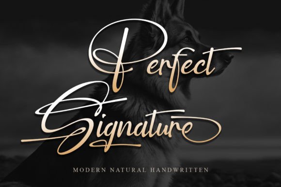 Perfect Signature Font Review