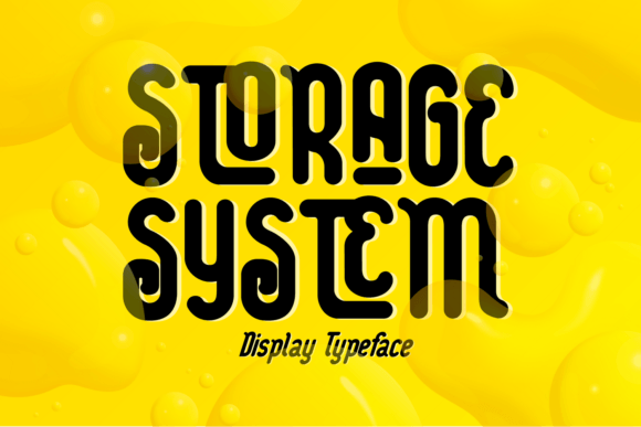 Storage System Font Review
